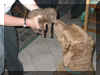 Dakota 1 wk.jpg (55709 bytes)